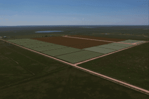 4 acre and 5 acre land tracts in Canyon, TX