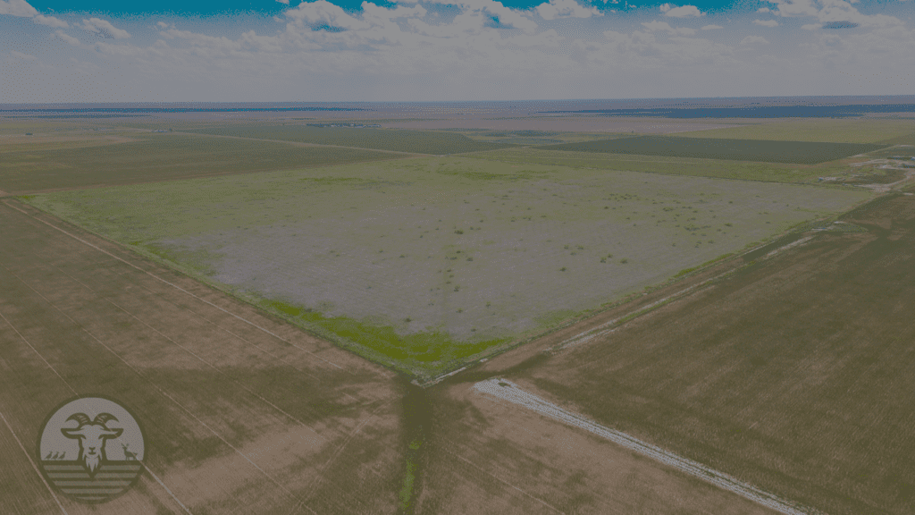 hunting land for sale texas panhandle