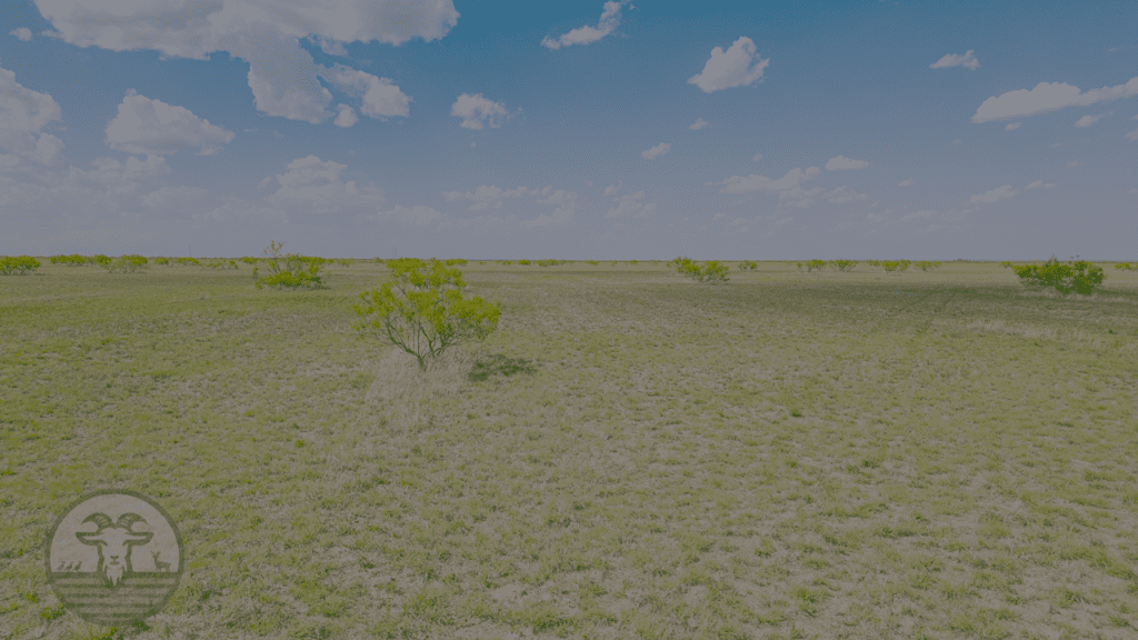 hunting land for sale texas panhandle